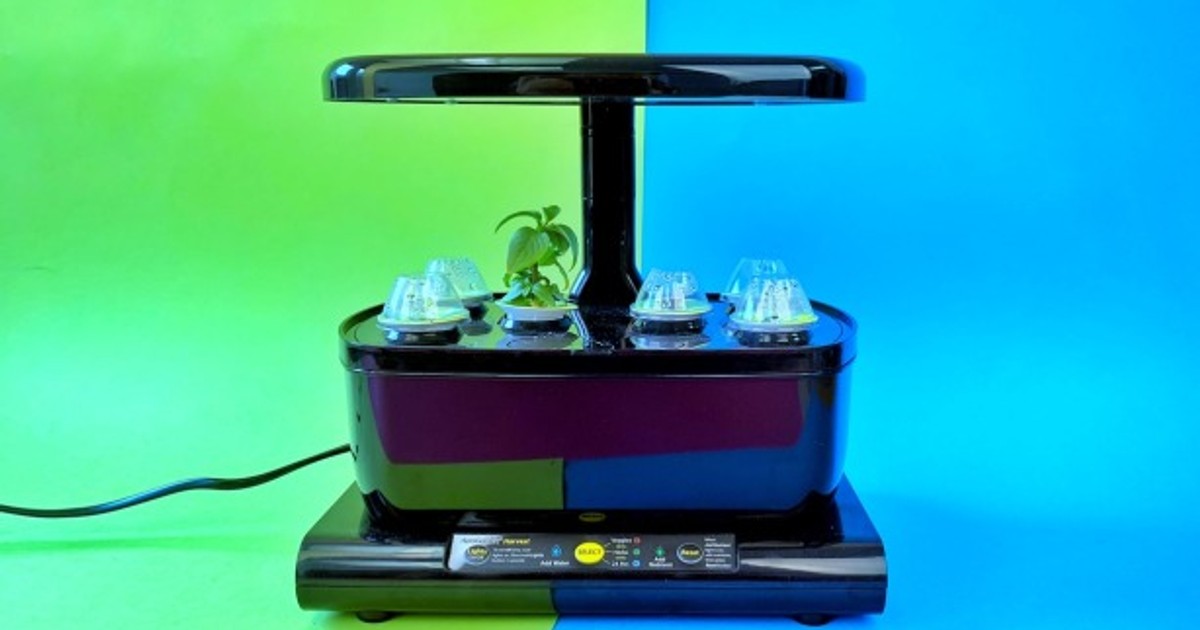 Aerogarden Harvest im Test Smarter Garten für Geduldige TechStage