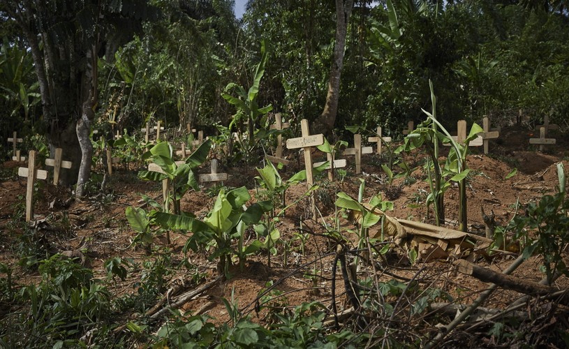 FALA EPIDEMICZNA WIRUSA EBOLA W AFRYCE