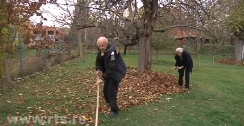 Tomislav i Jagoda sve zajedno rade