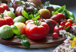 najlepsze odmiany pomidorów 2026. jakie pomidory zasiać w tym sezonie? te smaki zachwycają najsmaczniejsze odmiany pomidorów 2026