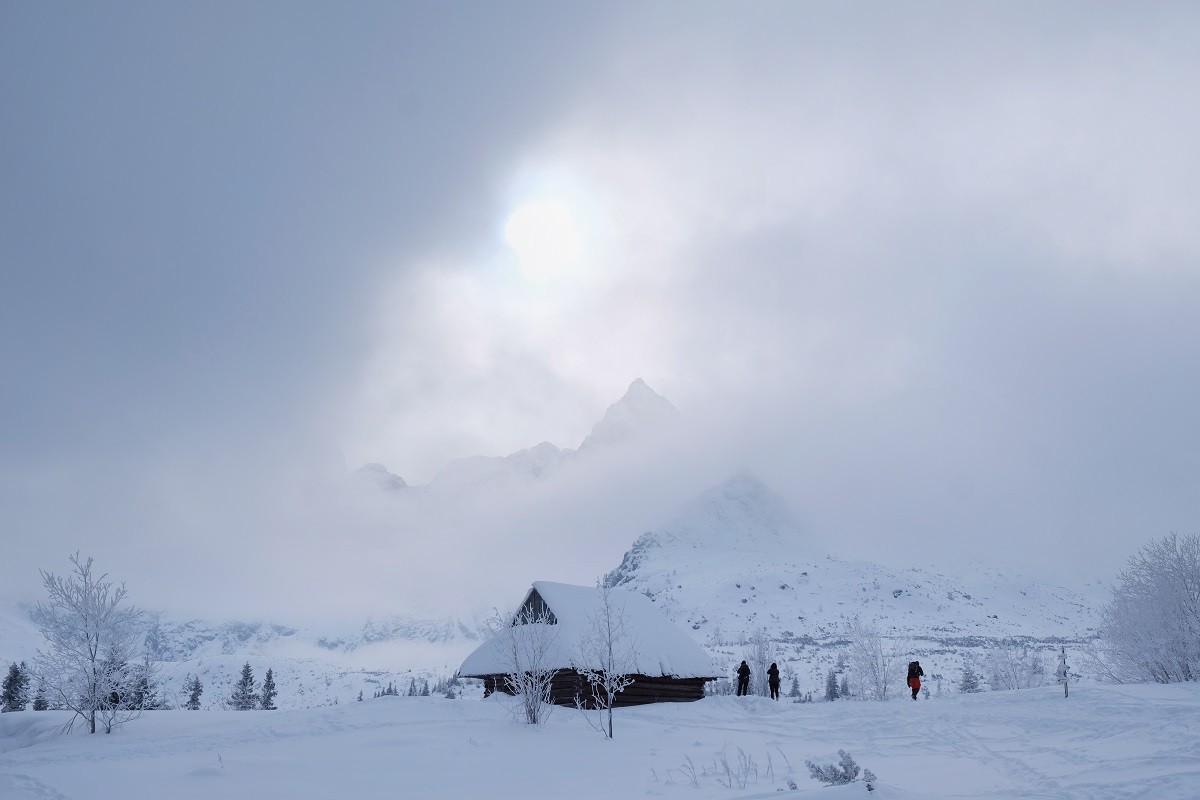 tatry hala gąsienicowa zakopane zima mgła pogoda narciarstwo