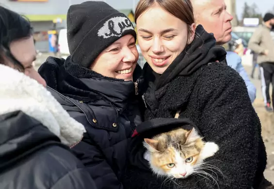Ksenia zabrała kota i sześć świnek morskich. Uchodźcy z Ukrainy nie muszą porzucać zwierząt 