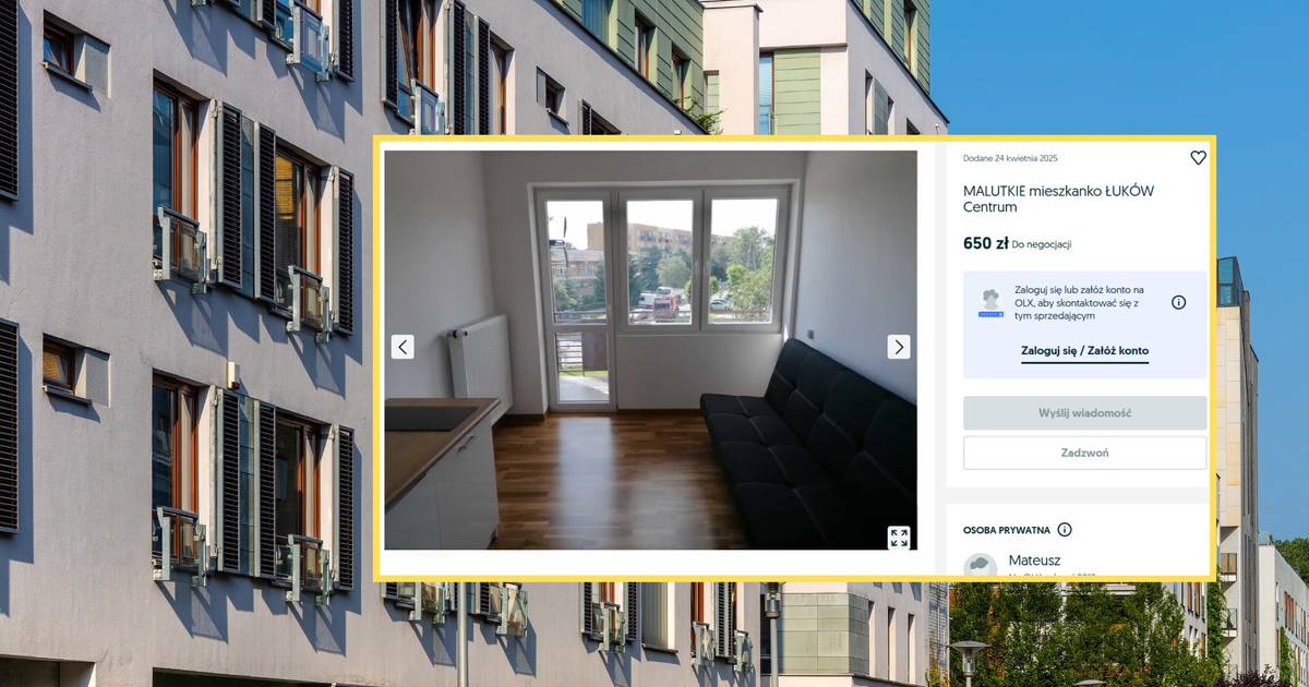 Minikawalerka w Łukowie na wynajem. Nie ma w niej choćby łazienki [ZDJĘCIA]