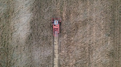 Ukraiński minister rolnictwa: Od początku wojny Rosjanie ukradli i wywieźli 500 tys. ton zboża