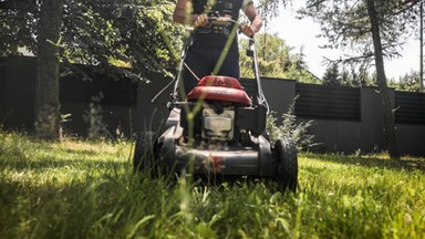 Koszenie trawy w kwietniu budzi kontrowersje. Mocne słowa eksperta