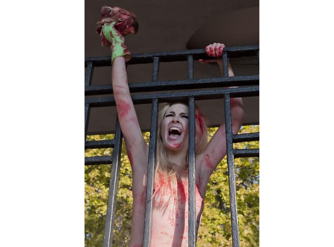 Aktywistki ruchu 'Femen' w kijowskim ZOO