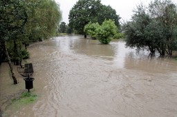 Pogotowie przeciwpowodziowe w gminie Elbląg. Zalana wieś Księżno