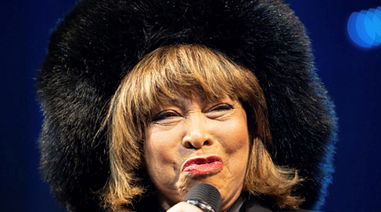 Tina Turner imádta a gyerekeit/Fotó: MTI/EPA/David Hecker