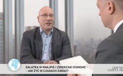 Sałatka w knajpie i zwierzaki domowe - jak żyć w czasach zarazy