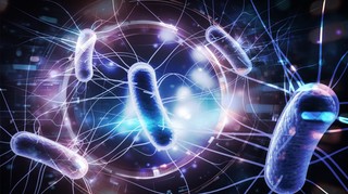 Biologiczny monitoring w pracy – jak nauka patrzy nam w krew i oddech