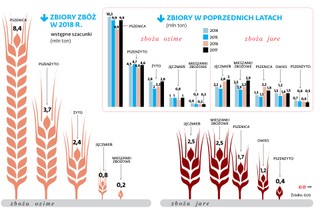 Wysuszyło nam pola, ale w sadach bez strat