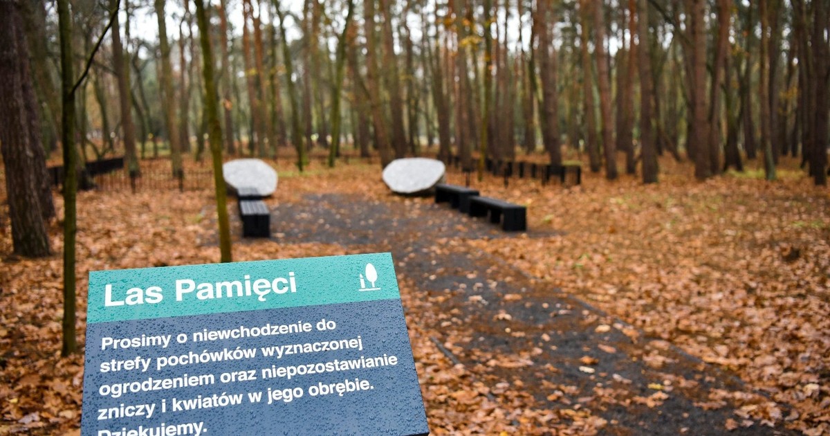 Tyle, co rachunek za prąd. Ekologiczny pogrzeb za 490 zł to rewolucja