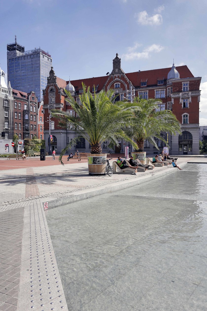 Rynek w Katowicach