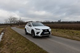 Lexus NX 300h – SUV o apetycie miejskiego samochodu