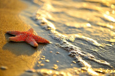 Ile zapłacisz za transfer gotówki za granicę?