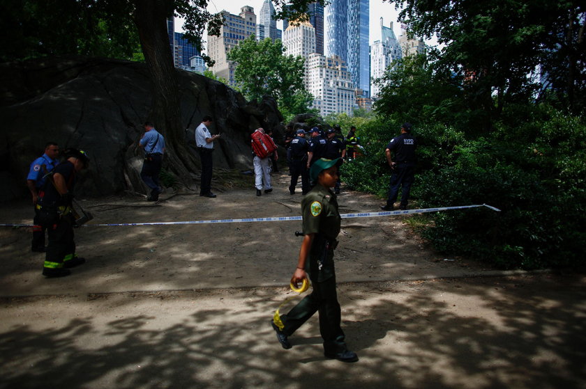 Policjanci przeszukali cały teren Central Parku w poszukiwaniu ewentualnych innych ładunków wybuchowych