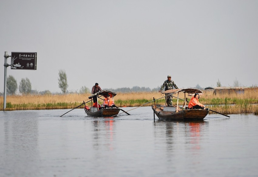Oblast Ansin snabdeva pekinšku pijacu ribom