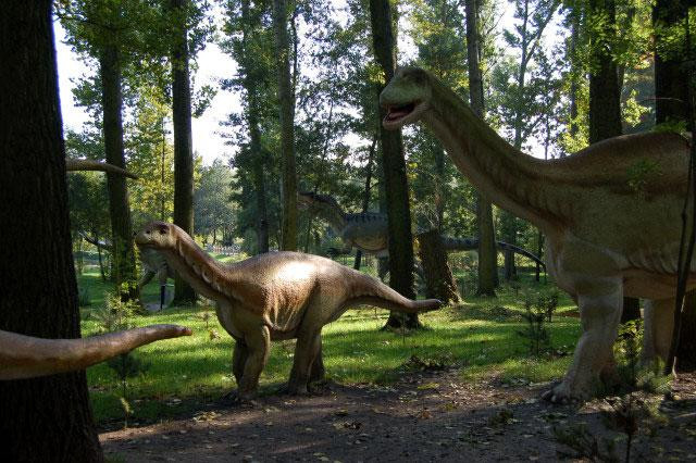 Galeria Polska - Rogowo - Park Dinozaurów, obrazek 4