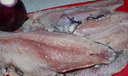 Polskie ryby przebijają łososia i dorsza z importu. Są zdrowsze i tańsze