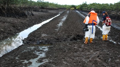 FG completes 500,000 cubic metre water scheme in Ogoniland. [economicconfidential]