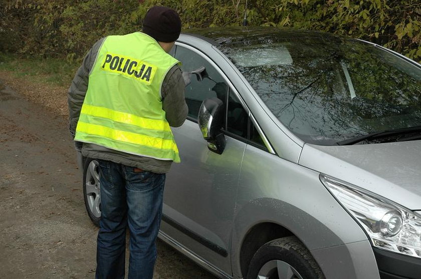 Policjanci zlikwidowali dziuplę samochodową pod Wrześnią