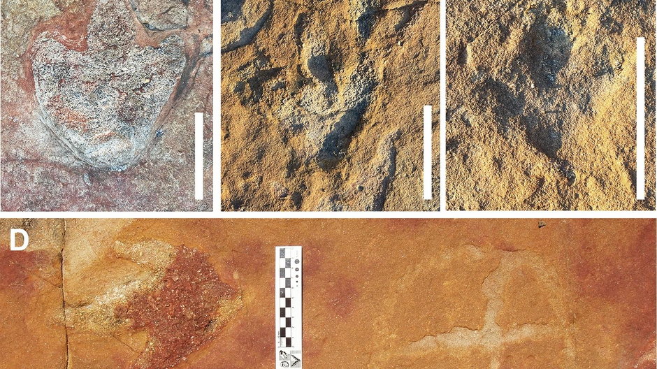 Ślady dinozaurów i petroglify