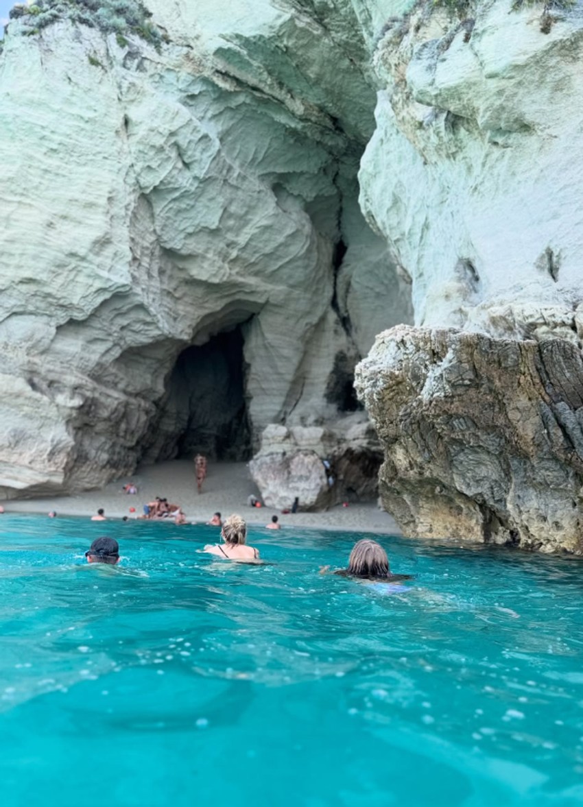 Kristina Radenković, objava