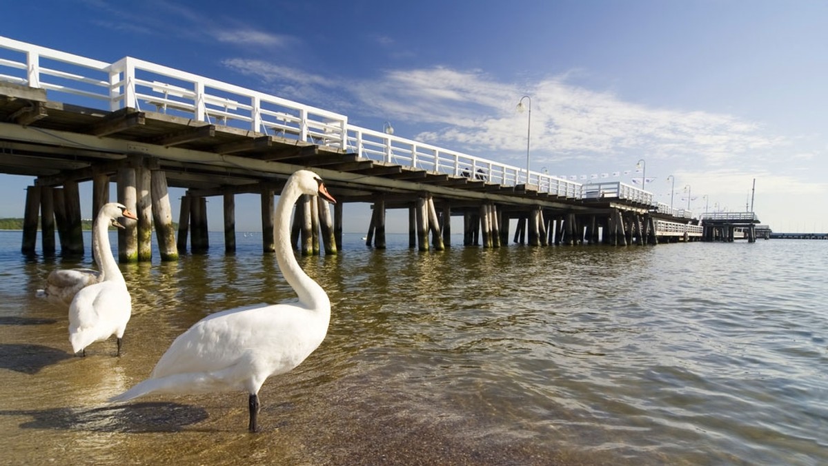 Sopot odkurzy po pupilach swoich mieszkańców. Miasto chce wypróbować metodę odkurzania psich kup i w ten sposób oczyścić kurort - informuje trójmiasto.pl.