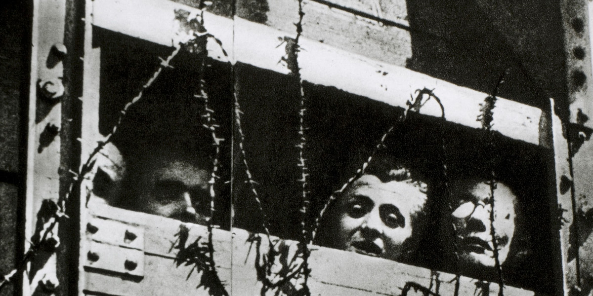 Rabin z Nowego Jorku zrzuca na Polaków winę za Holocaust