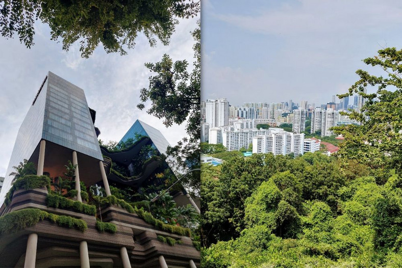 Srebrno-zielony Singapur