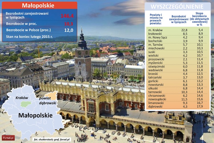 Stopa bezrobocia w tym regionie wynosi 10,3 proc. Plasuje to Małopolskę na czwartym miejscu wśród polskich województw. Najlepsza sytuacja na rynku pracy w regionie panuje w Krakowie  – prężnym ośrodku akademickim i siedzibie licznych centrów usług zagranicznych koncernów, a także w powiecie krakowskim, Nowym Sączu i powiecie bocheńskim. We wszystkich tych regionach stopa bezrobocia nie przekracza 10 proc. W samym Krakowie wskaźnik bezrobocia wynosił w lutym tego roku 5,4 proc. Stolica Małopolski przyciąga wielkie zagraniczne koncerny – swoje oddziały mają tu m.in. Shell, Google, IBM Software, Delphi czy Electolux. W ich centrach usług pracę ma już ponad 30 tys. osób. Najgorsza sytuacja w województwie małopolskim panuje w powiatach limanowskim i dąbrowskim – regionach o charakterze rolniczo-turystycznym. Bezrobocie wynosi tu – odpowiednio - 16,7 proc. i 17,9 proc.