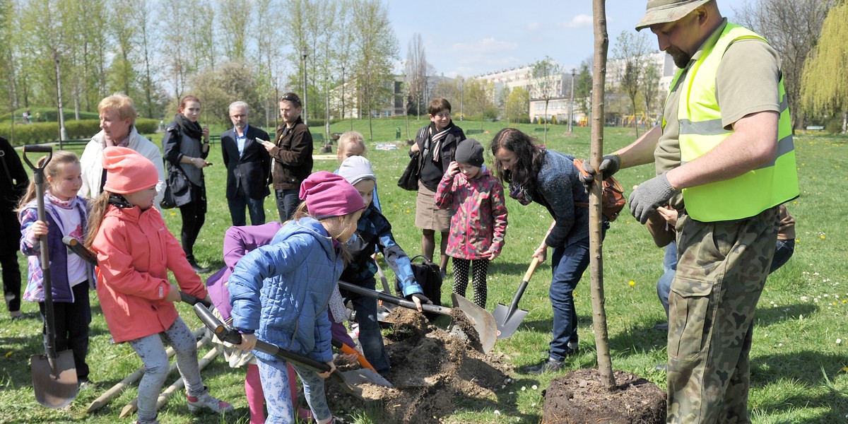 dzieci sadzą drzewa