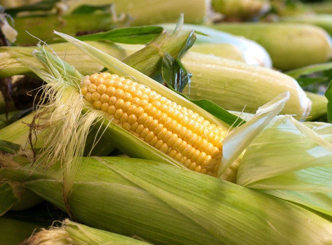 „Włosy kukurydzy”