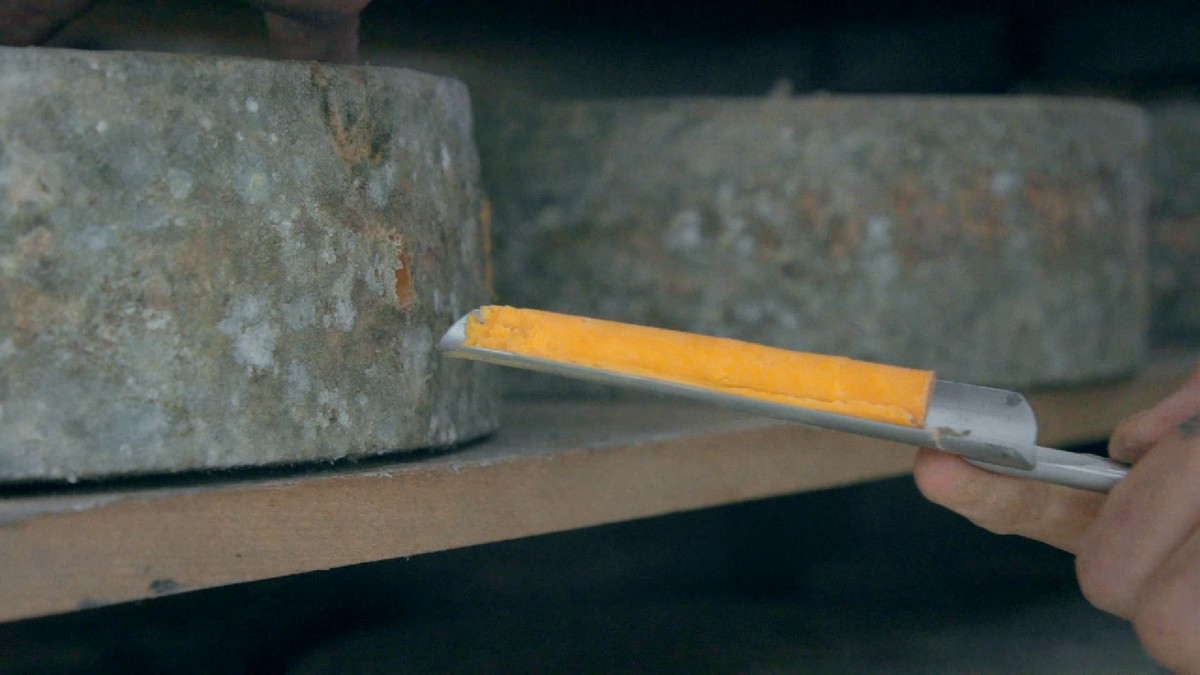 Jak powstaje kultowy Red Leicester. "Pleśń żywi się smalcem"