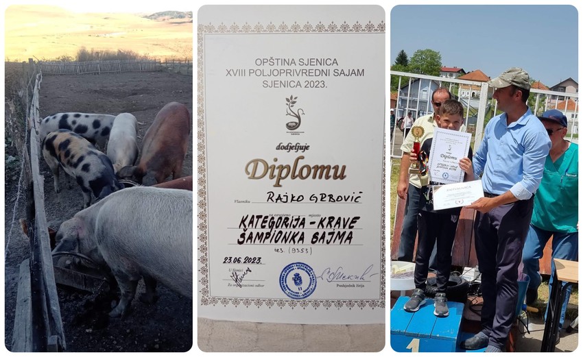 Rajkova krava bila je šampionka ovogodišnjeg sajma u Sjenici