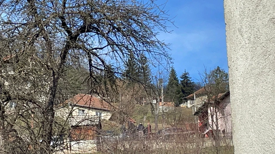 Pomen Mihaila Janjuševića