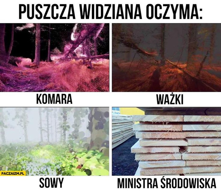 Pół roku rządu Szydło