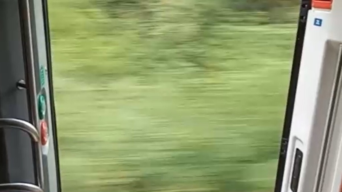 Több mint 100 km/órával száguldott nyitott ajtóval a MÁV egyik vonata – videó