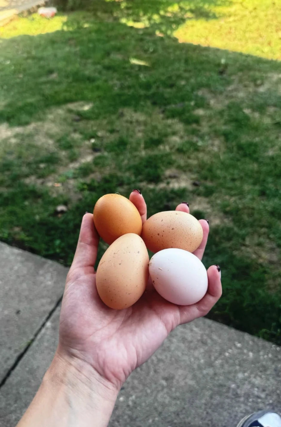 Luna Đogani, objava