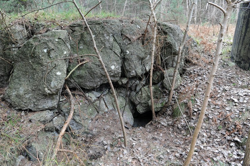 Stare wina z niemieckich bunkrów