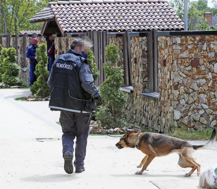 Kutyát is vittek a rendőrök, átkutatták a házat, luxusautót foglaltak le / Fotó: Fuszek Gábor