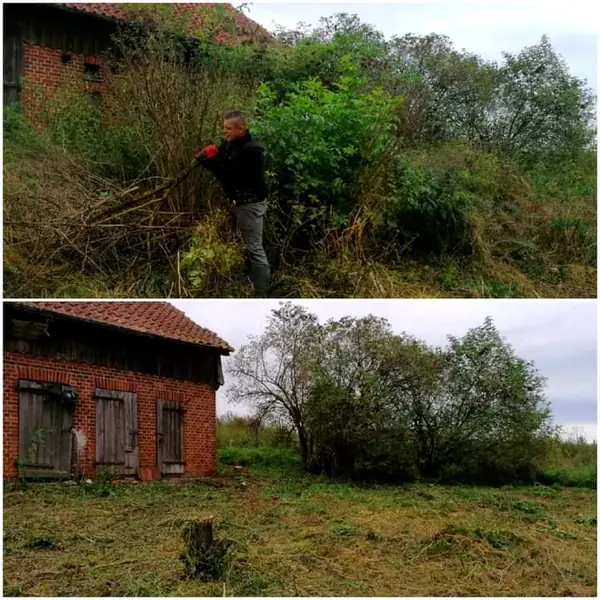 &quot;Szkoła pod starym dębem&quot; przed i po wycince chaszczy