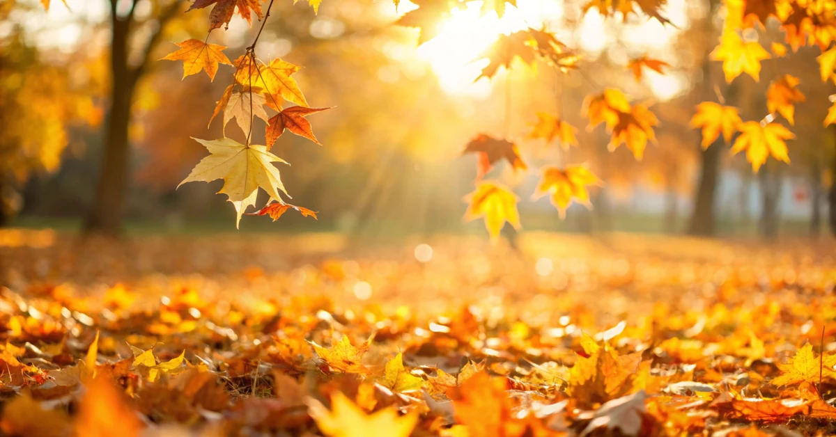 Nadciąga zmiana pogody. Ten tydzień przyniesie niespodziankę [PROGNOZA IMGW]