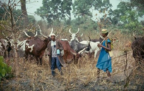 Herdsmen have clashed with crop farmers in Nigeria for decades (Punch) 