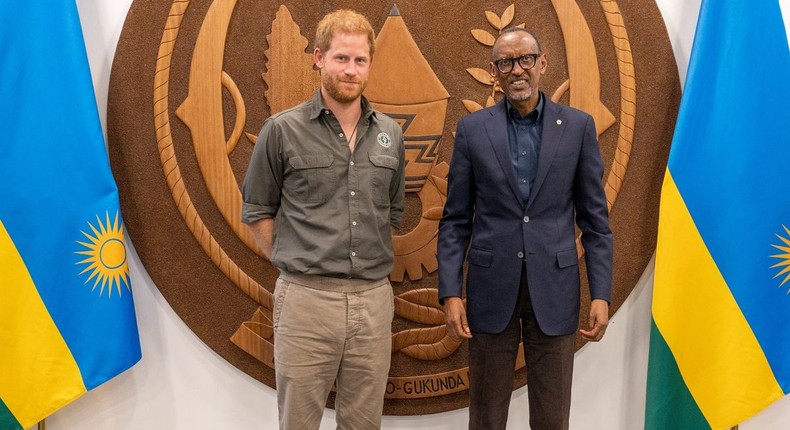 President Kagame received Prince Harry, who visited Rwanda as part of his work as President of African Parks (image credit: @UrugwiroVillage/Twitter)