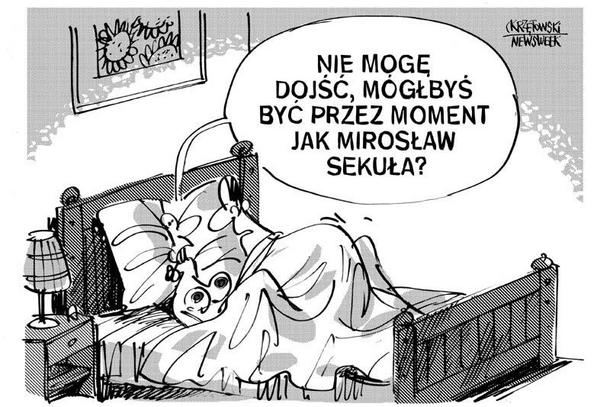 Być jak Mirosław Sekuła