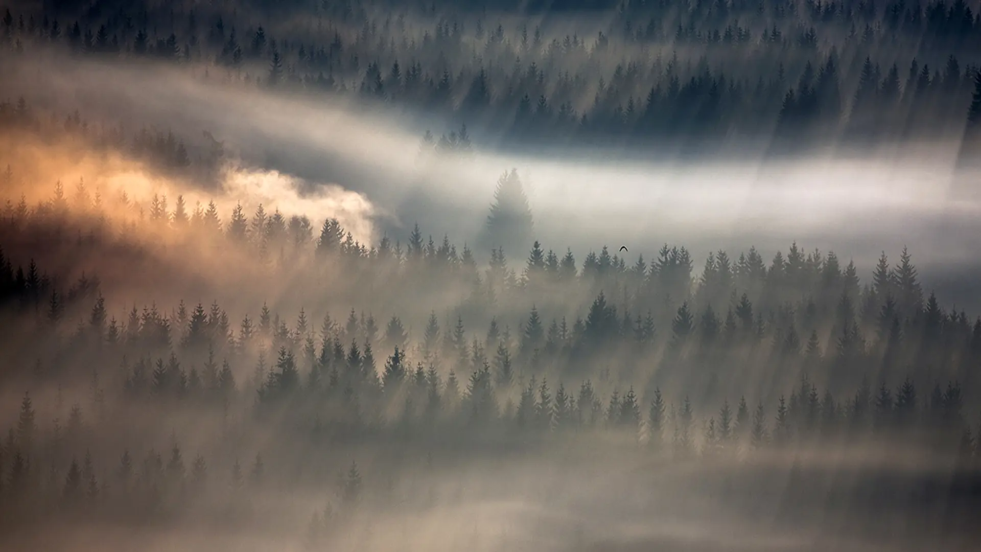 Amerykanie oszaleli na punkcie... BESKIDÓW za sprawą tych zdjęć. Są oszałamiające. Mamy być z czego dumni!