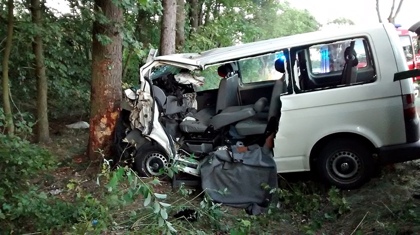 Kierowca busa rozbił się na drzewie