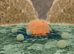 Sztuczna inteligencja może pomóc WYKRYĆ RAKA, zastąpić chemiczne barwienie tkanek