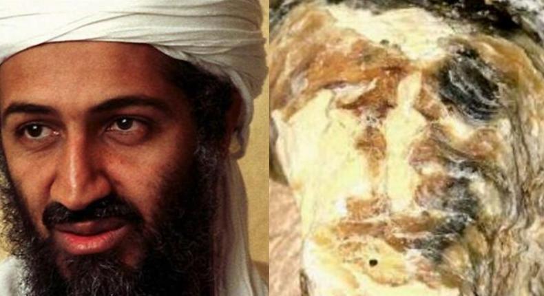 Woman finds a seashell that “looks exactly like Osama Bin Laden (photo)